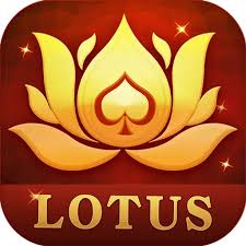 real money teen patti live download